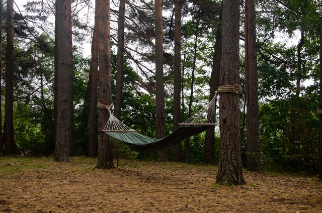 Hangmat ophangen en genieten