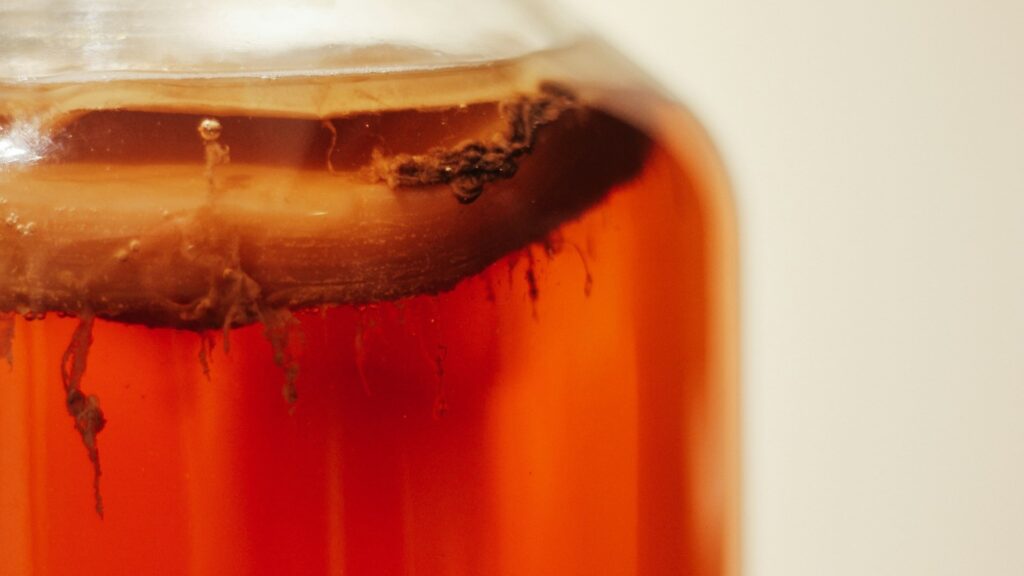 Glazen pot met kombucha cultuur bovenop thee tijdens fermenteren met zichtbare gisten en bacteriën