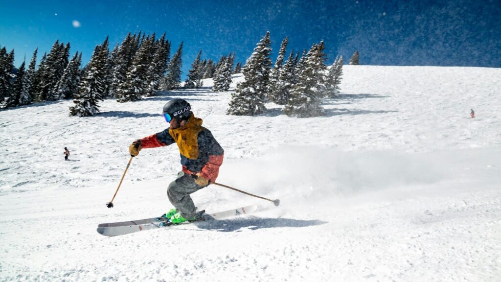 Skidag op zonnige piste met skiër in stabiele bocht tussen besneeuwde bomen